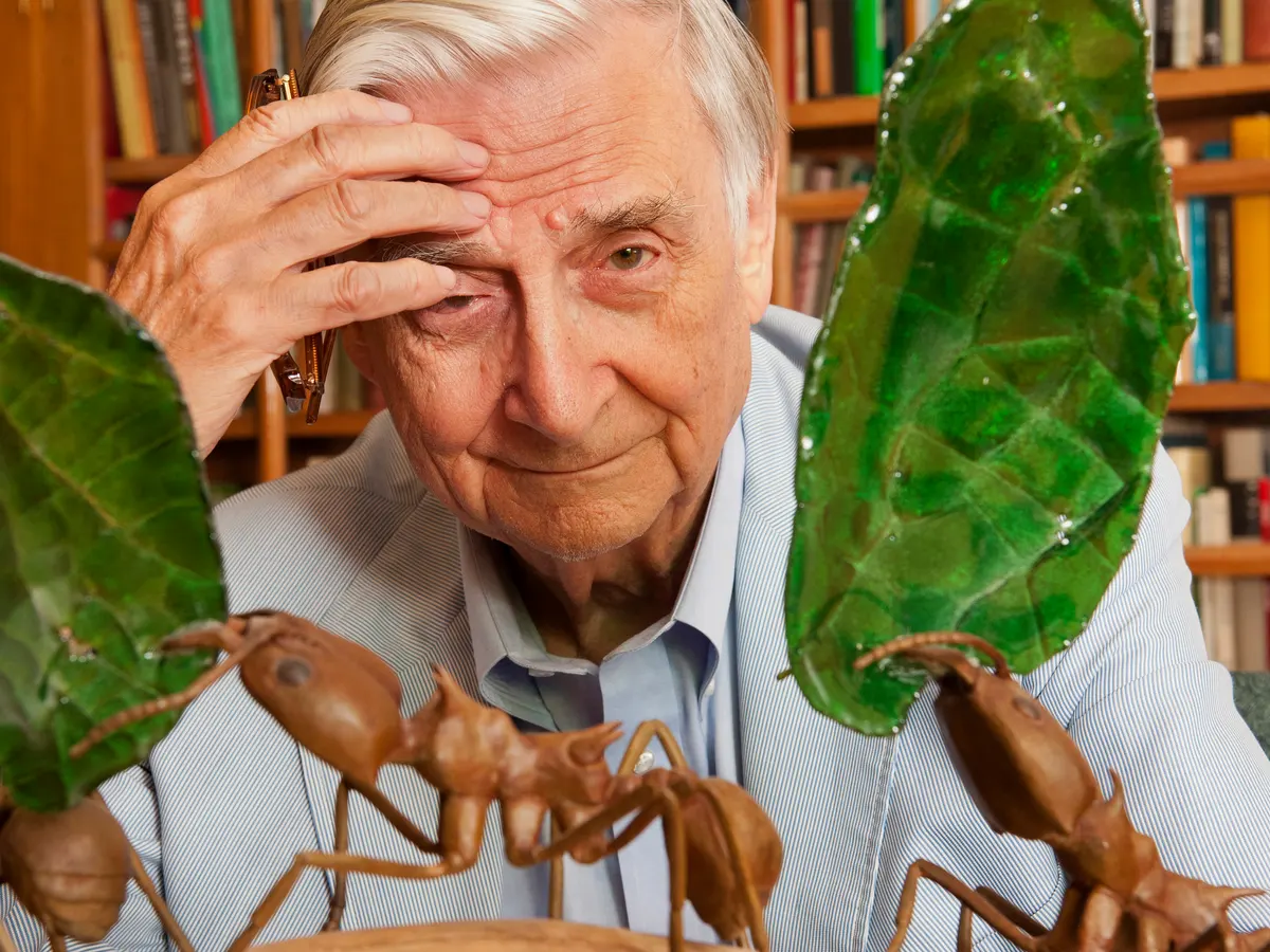 E. O. Wilson
