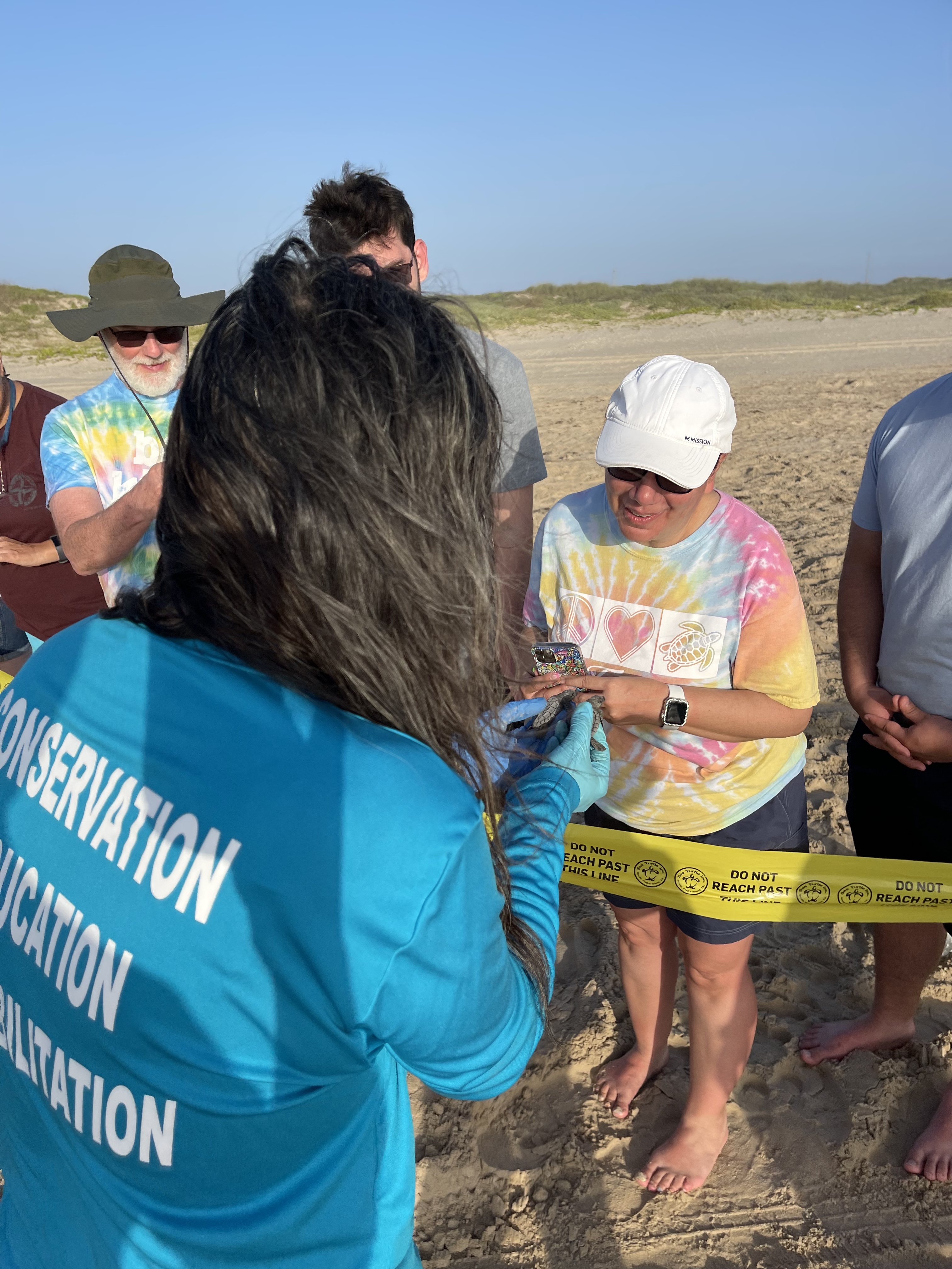 sea turtle inc for site experience section 1